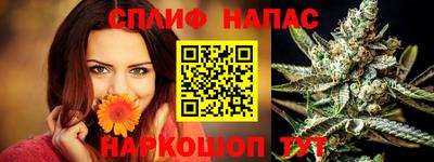 сатива Ирбит
